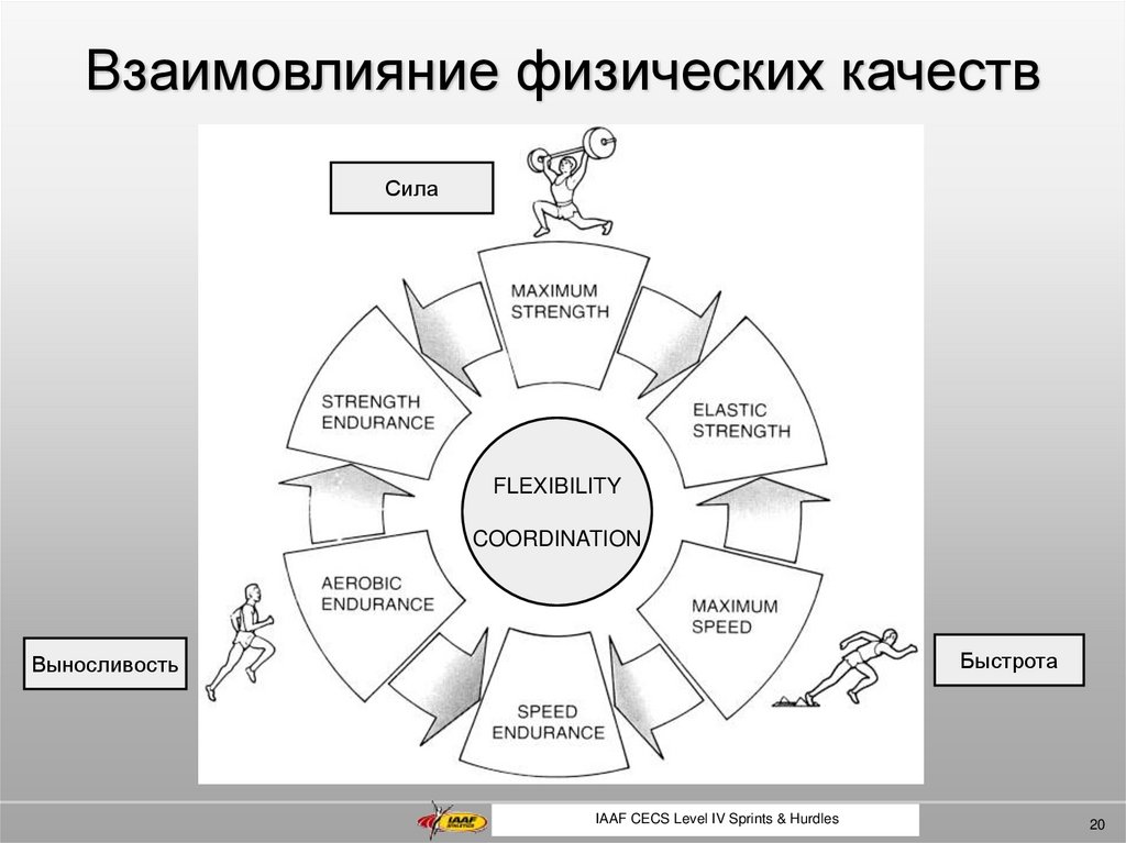 Взаимовлияние. Взаимовлияние это в психологии. 