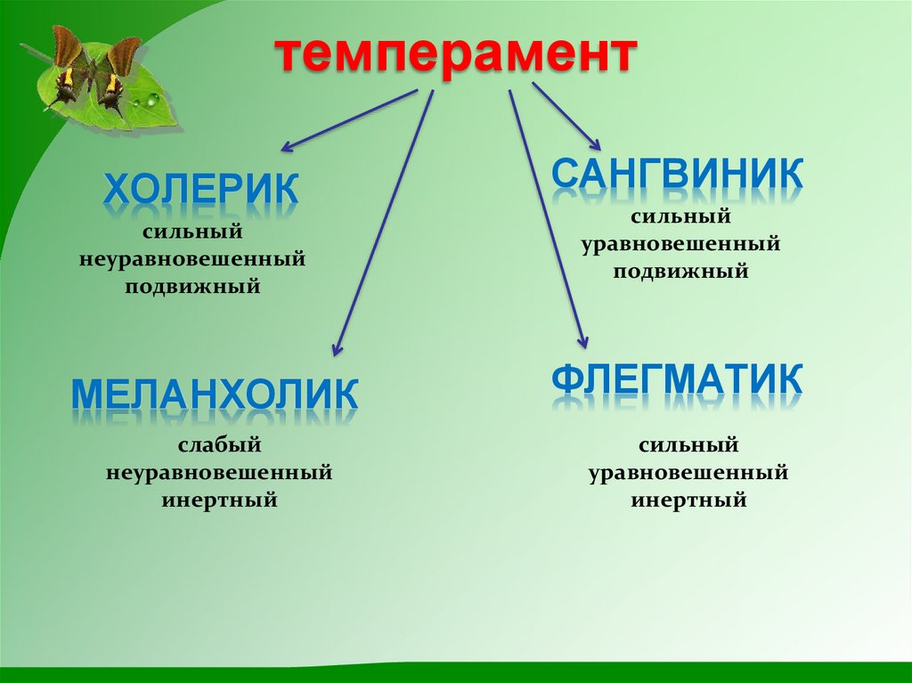 Темперамент презентация 8 класс биология