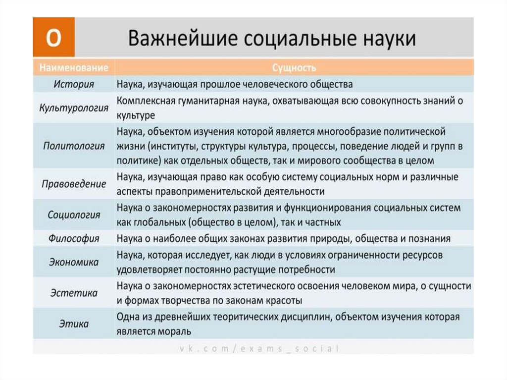 Публичная политика и социальные науки учебный план