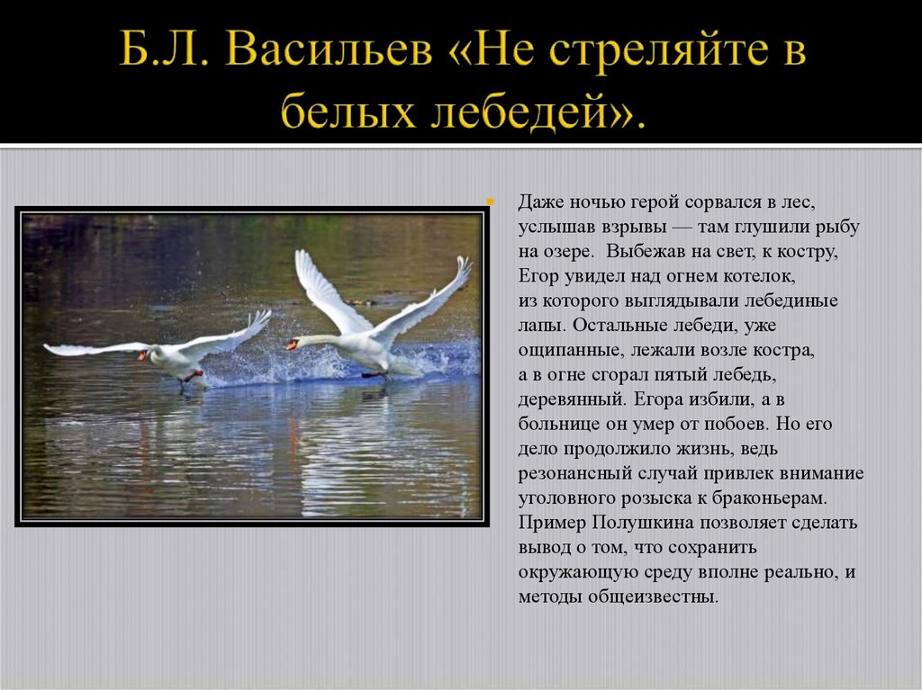 Не стреляйте в белых лебедей. Б Васильев не стреляйте в белых лебедей. Не стреляйте в белых лебедей краткое содержание. Васильев не стреляйте в белых лебедей содержание.