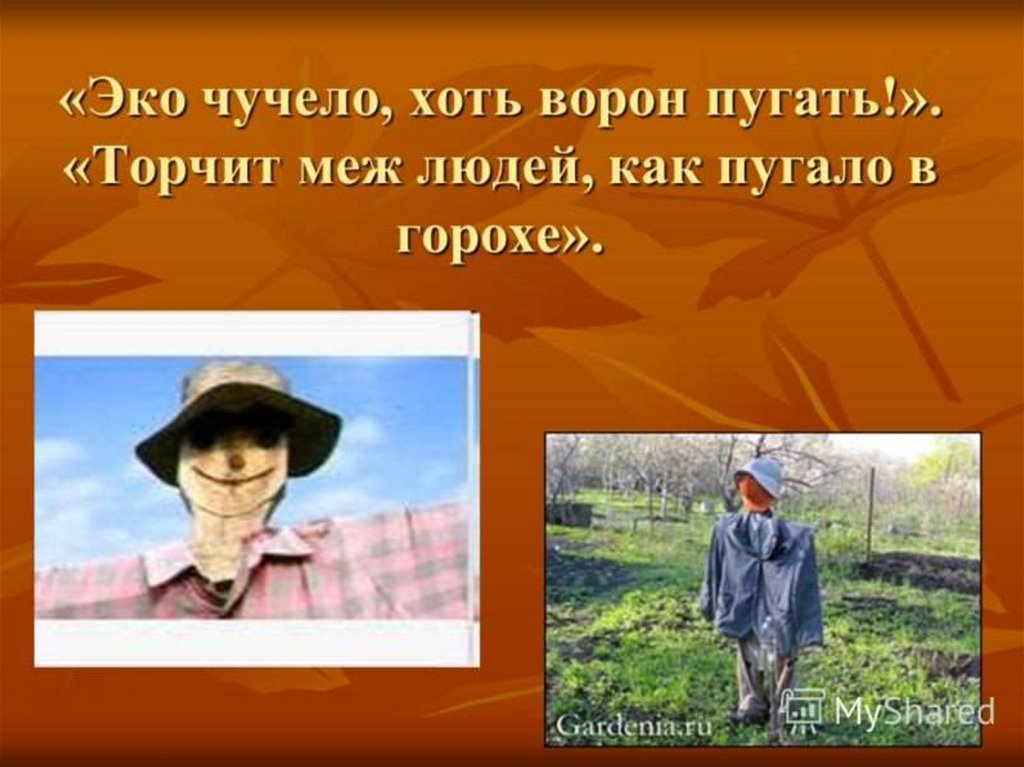 Презентация пугало в огороде или под шепот фонтанных струй презентация