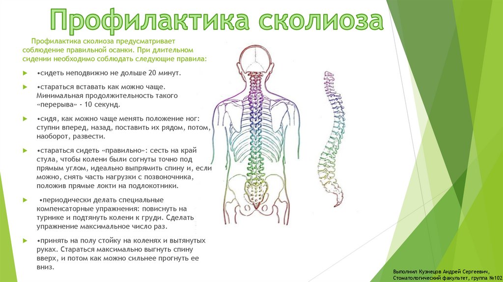 Профилактика сколиоза презентация