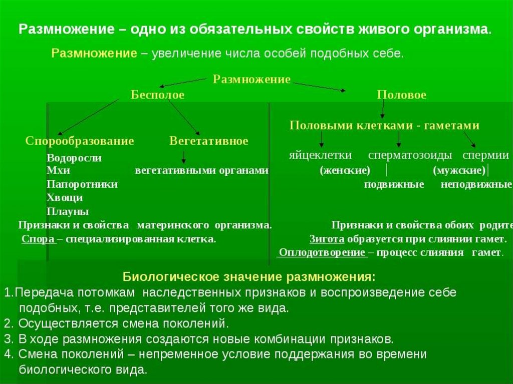 Типы бесполого размножения растений