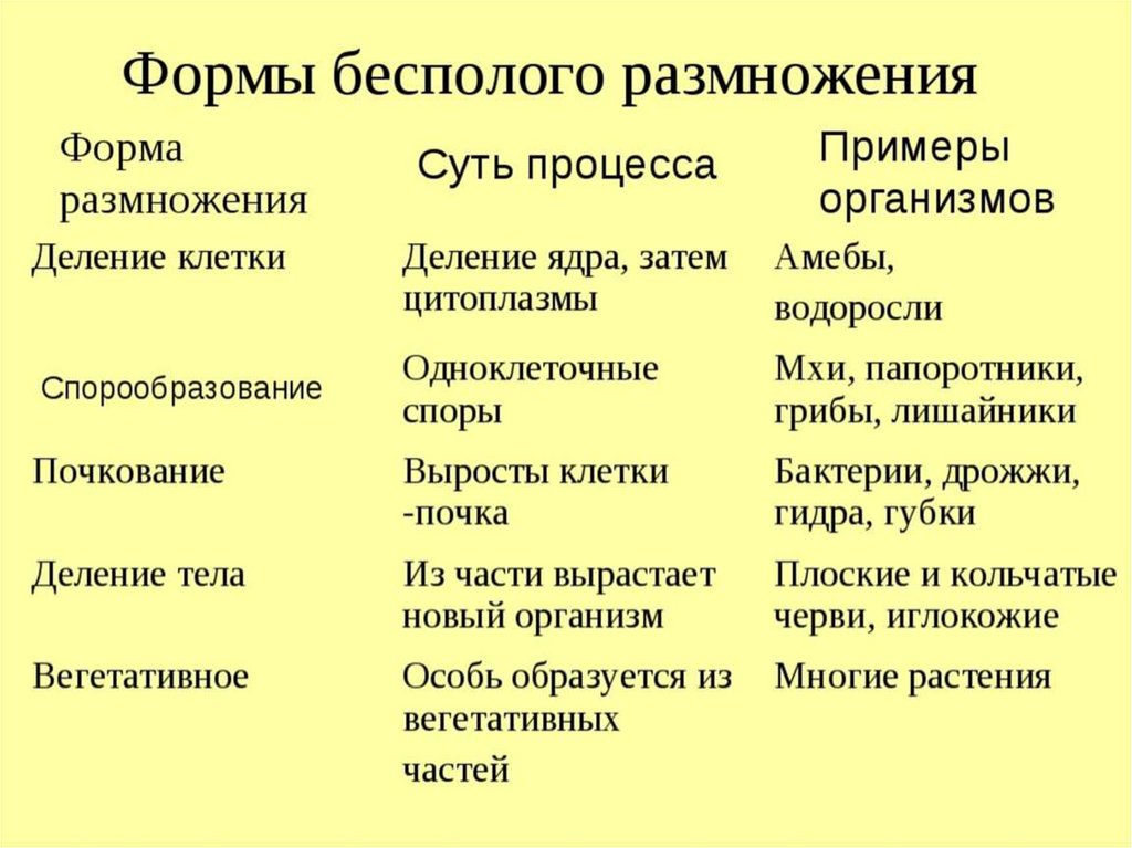 Индивидуальное развитие и размножение организмов презентация