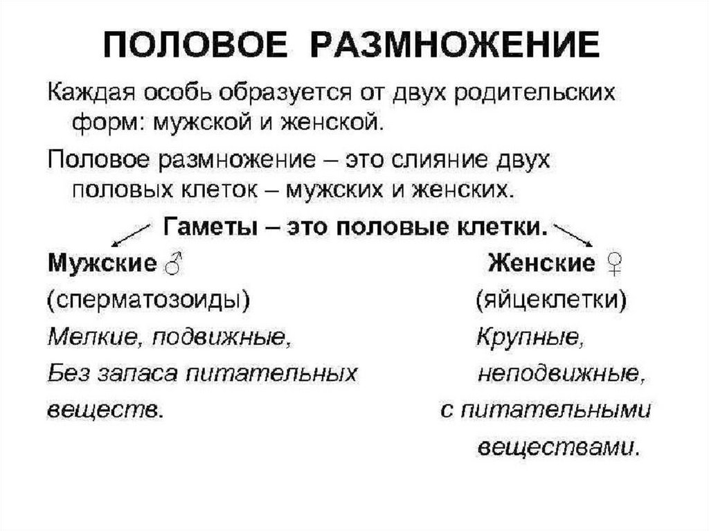 Индивидуальное развитие и размножение организмов презентация