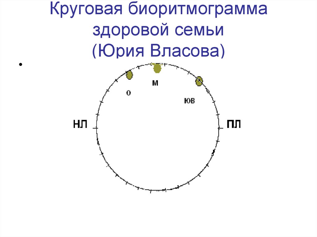 Круговая биоритмограмма здоровой семьи (Юрия Власова)