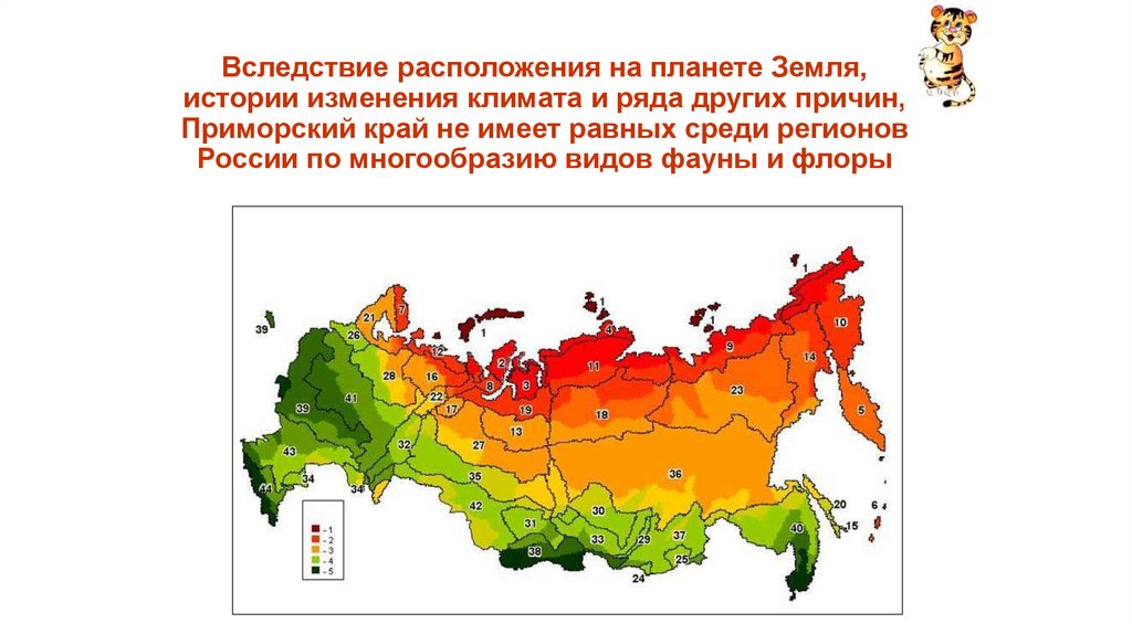 Карта среднегодовых температур Грузии. Климат в приморском крае