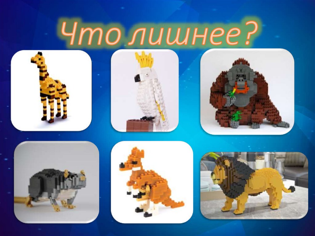 Что лишнее?