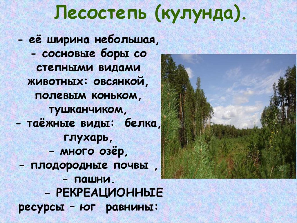 Природные зоны лесостепи и степи таблица. Ширина лесостепи. Западно Сибирская лесостепь. Животные лесостепи Западно сибирской равнины. Лесостепь Западно сибирской равнины растения.