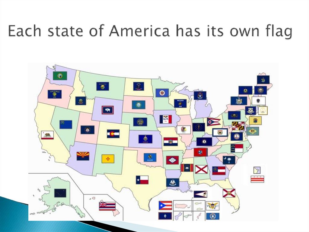 Each state of America has its own flag
