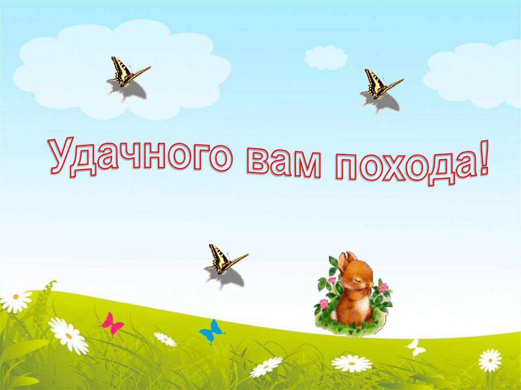 Рисунок на тему туризм. Сочинение в школу "поход за ягодами". Туристические приколы. Хорошего похода пожелания. Карикатуры на туристов в лесу.