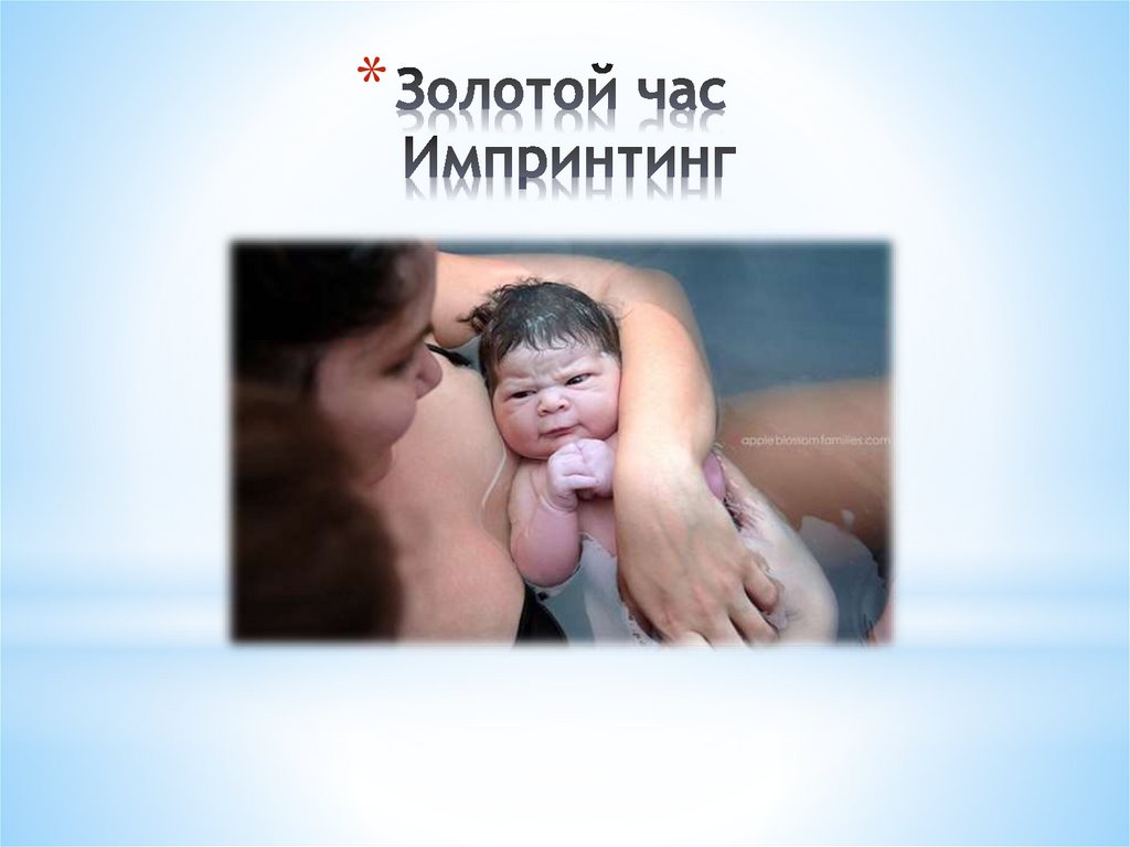 Золотой час Импринтинг