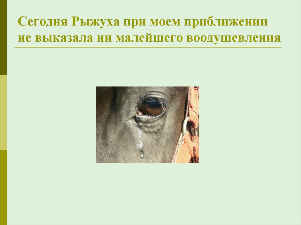 О чем плачут лошади развернутый ответ