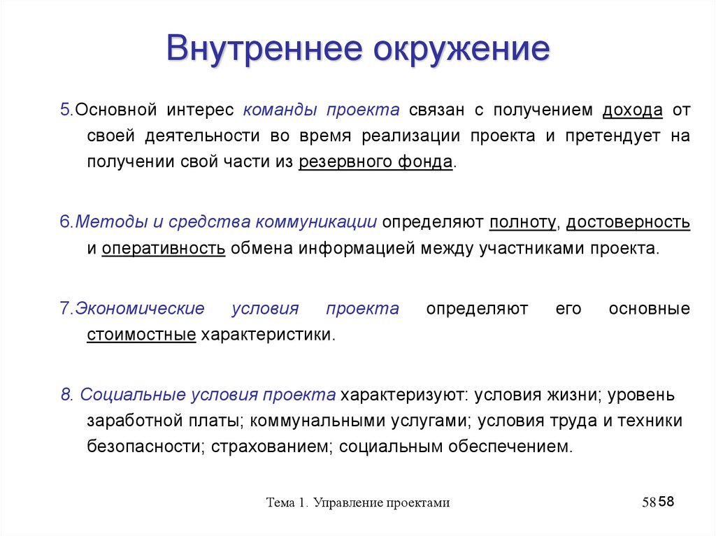 К какому виду окружения проекта относится термин команда