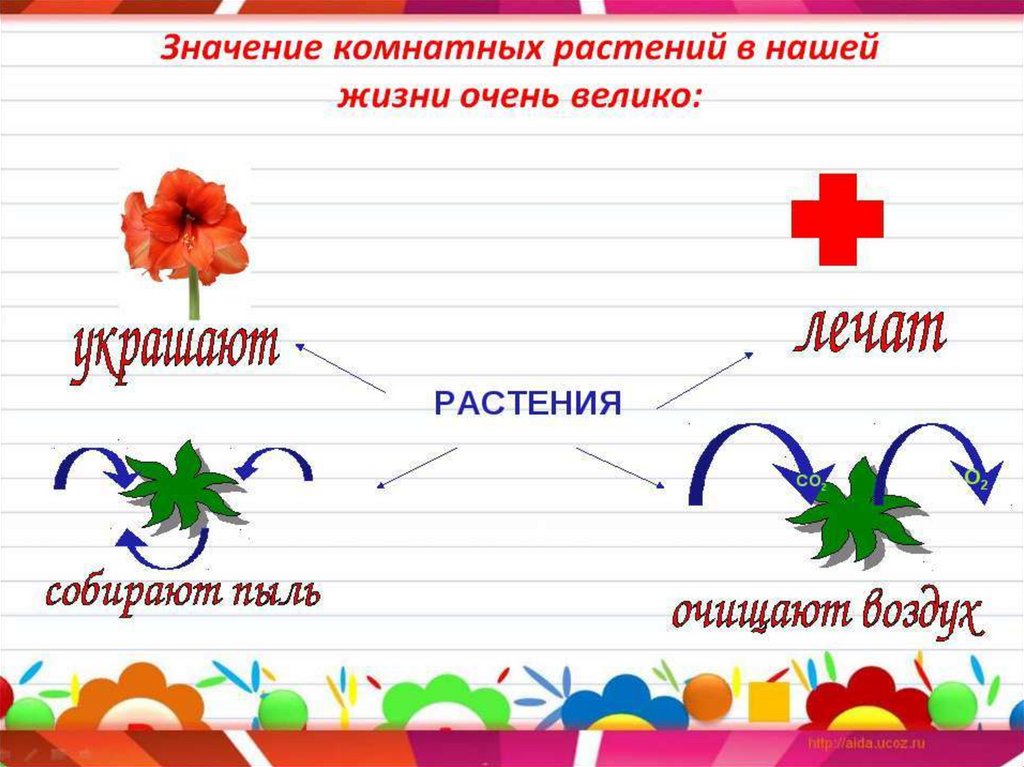 Цветы 1 класс школа россии презентация