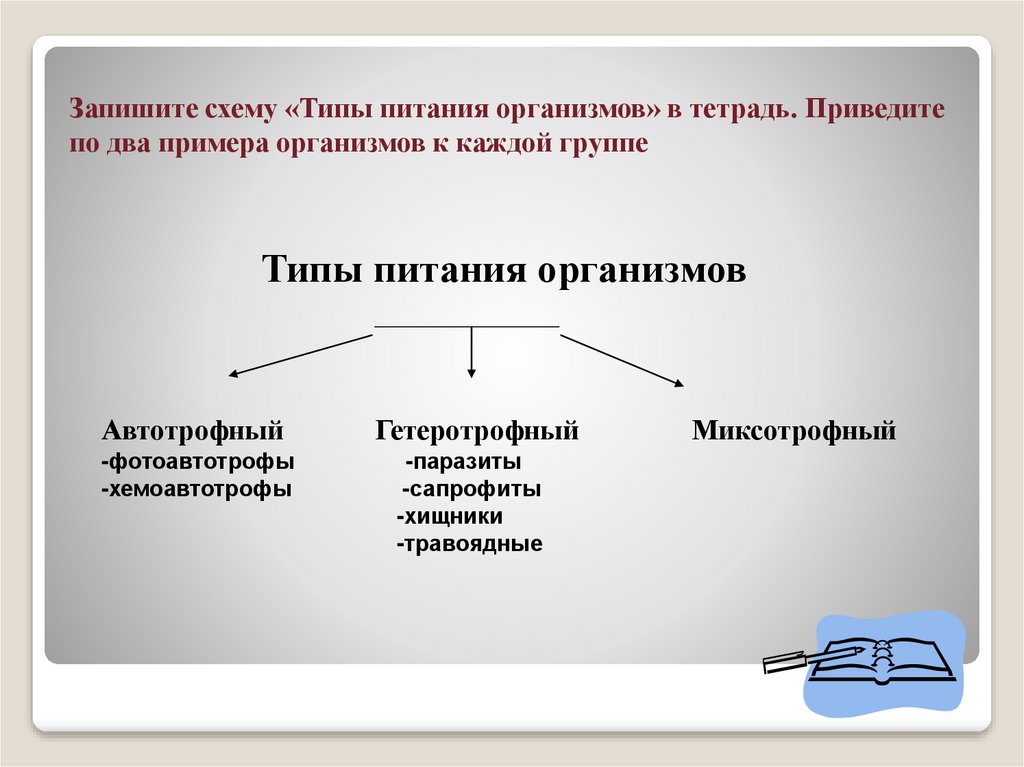 Типы взаимодействия организмов презентация