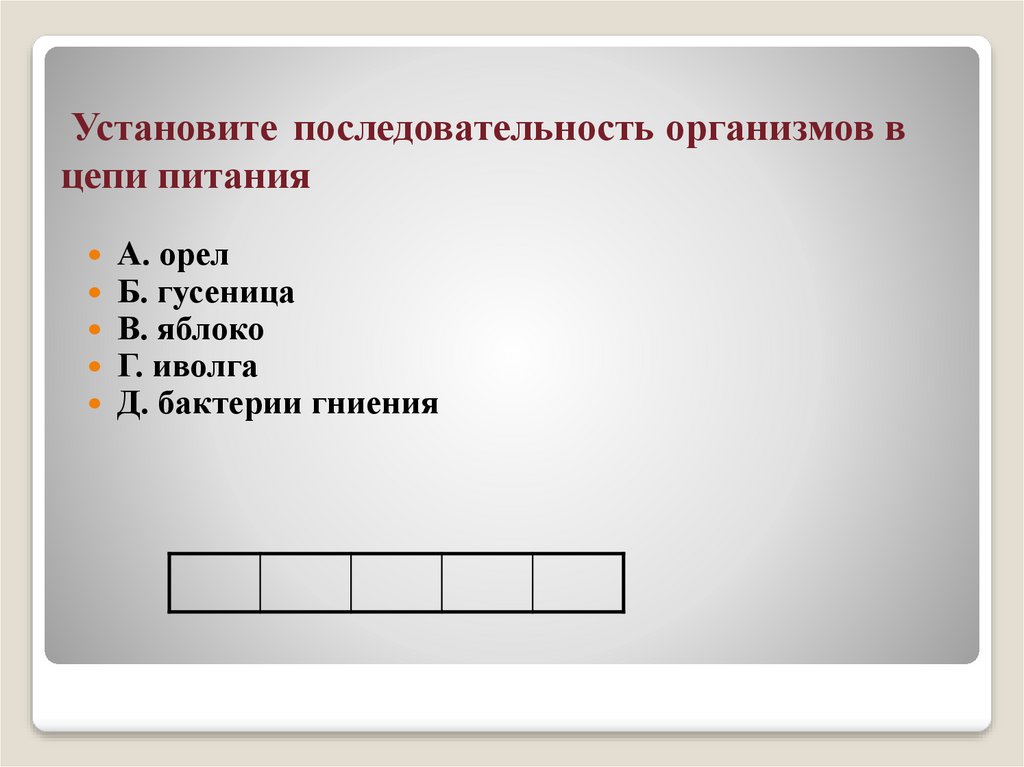 Установите последовательность организмов в цепи питания