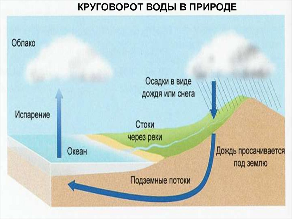 Схема образования дождя