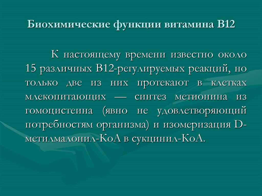 Биохимическая роль. Витамин в12 биохимические функции. Биохимическая роль витамина с.