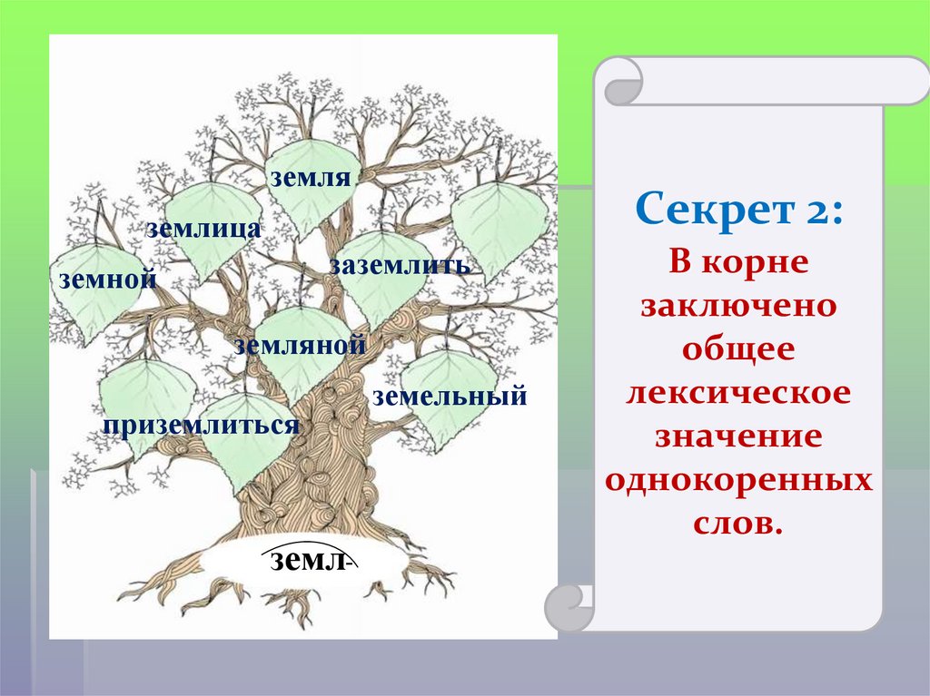 Род корневых будет жить 9 читать. Дерево с однокоренными словами. Однокоренные слова к слову. Текст с однокоренными словами. Много однокоренных слов.