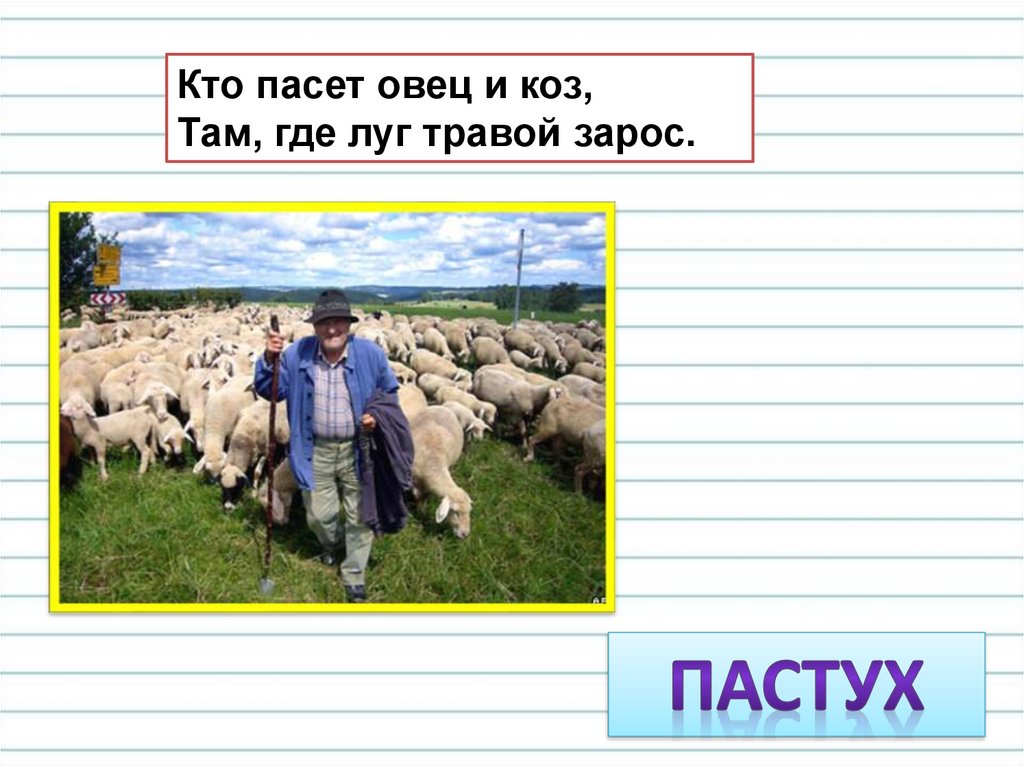 Пастух проверочное. Кто пасет овец и коз там где луг травой зарос. Кто пасет овец и коз. Кто пасет овец. Пасти овец и коз.