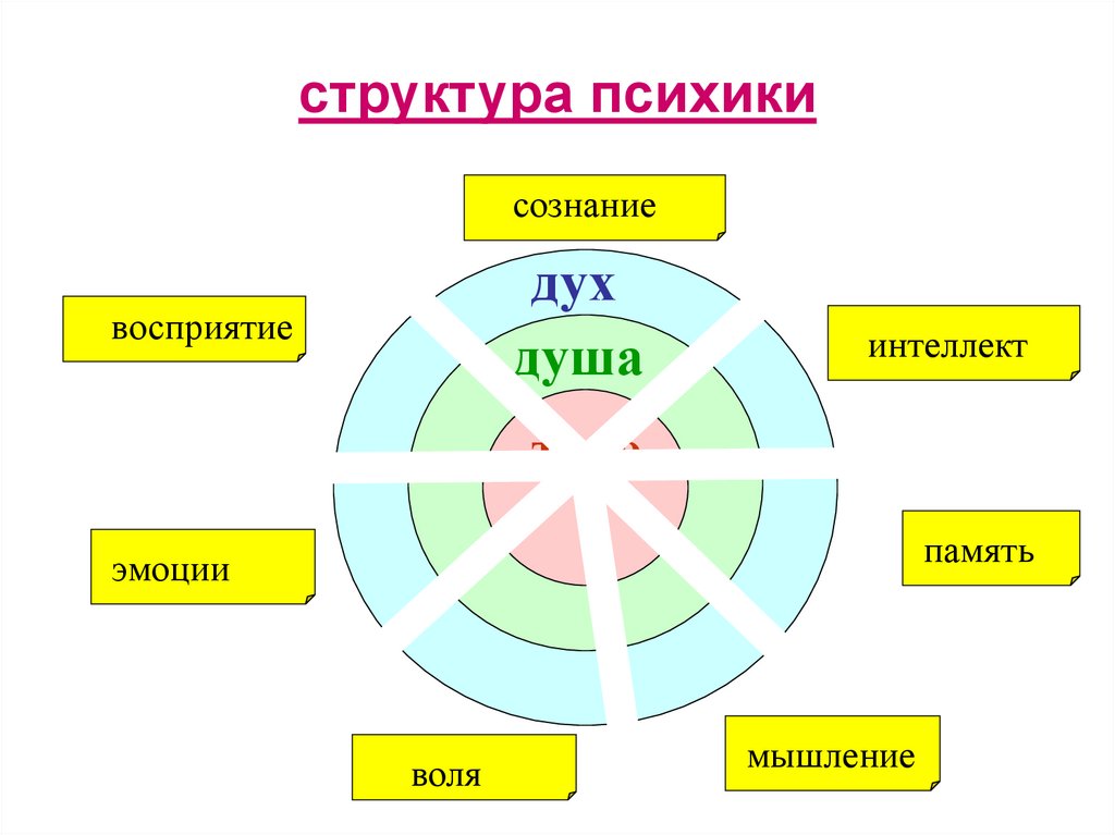 Сознание чувства воля