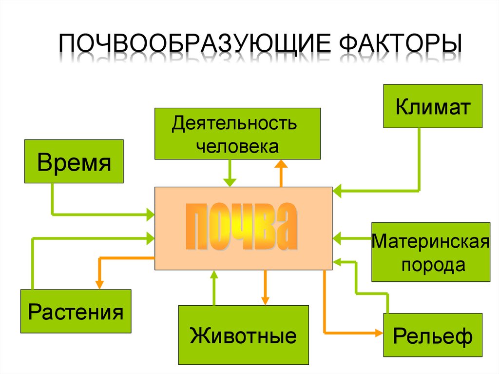 Схема почвообразующие факторы