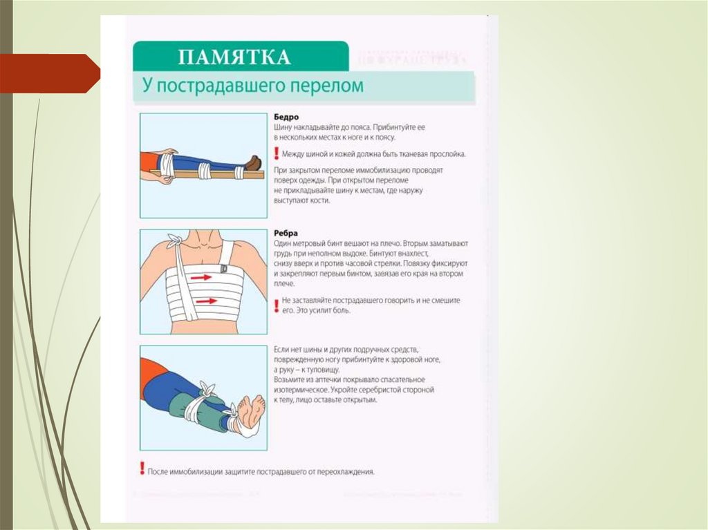 Первая медицинская помощь презентация по биологии