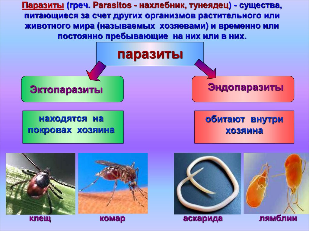Какие организмы называют хозяевами биология 5. Организменная (паразиты и симбионты).. Паразиты презентация биология.