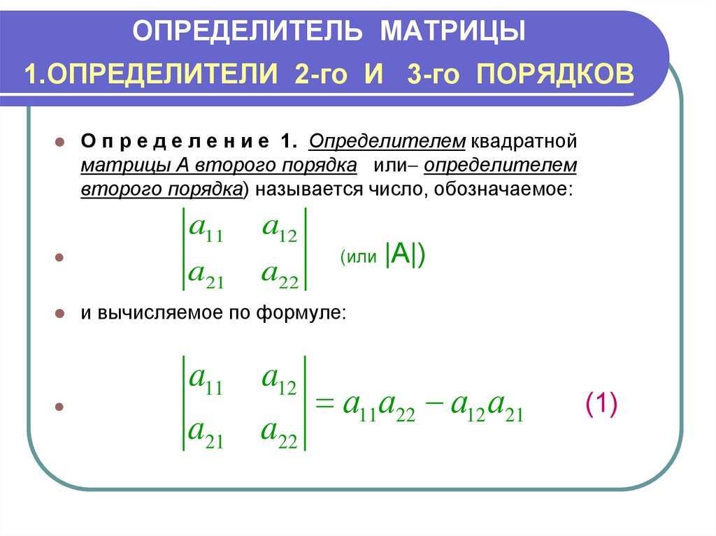 Определитель по фото онлайн бесплатно