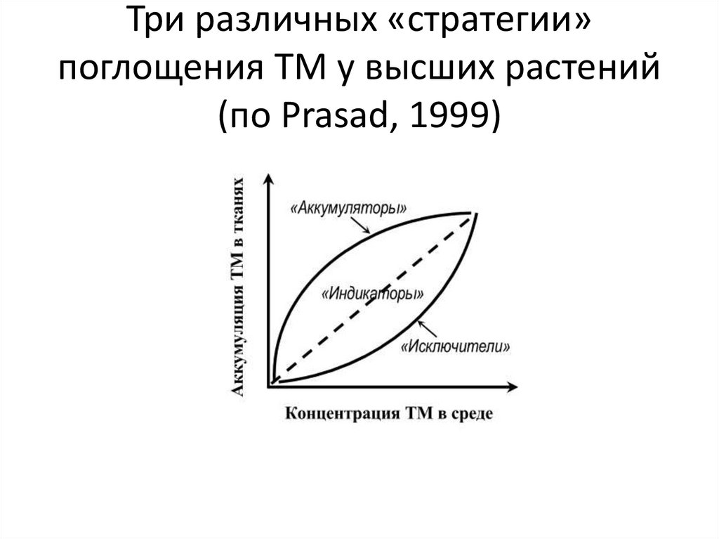 Три различных «стратегии» поглощения ТМ у высших растений (по Prasad, 1999)