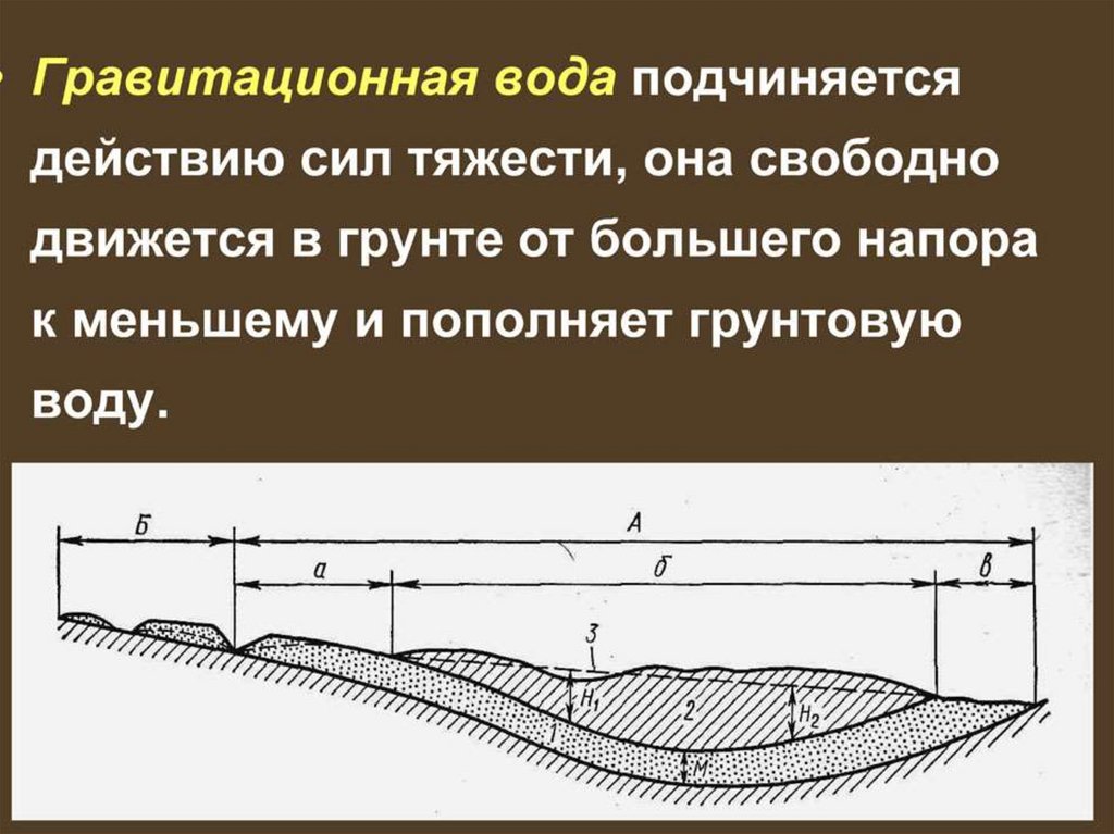 Связанная вода в почве. Капиллярная вода в грунтах. Капиллярная и гравитационная вода в грунтах. Виды воды в грунтах. Капиллярного подъёма грунтовых вод.