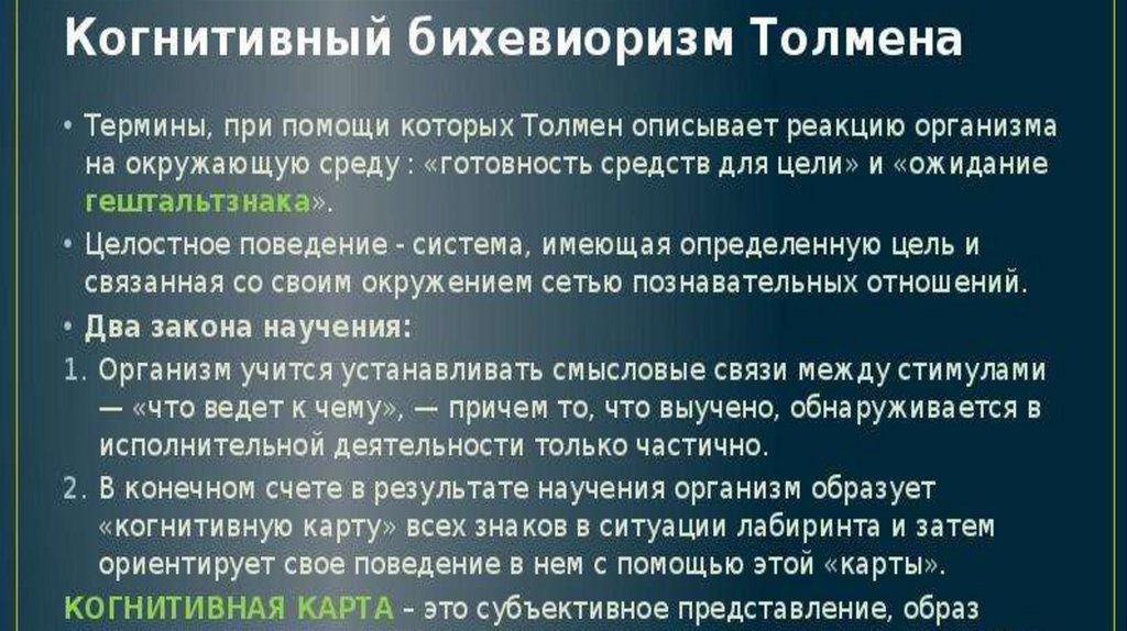 Когнитивная карта толмена