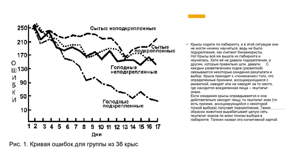 Крысы ходили по лабиринту, и в этой ситуации они не могли ничему научиться, ведь не было подкрепления, как считают