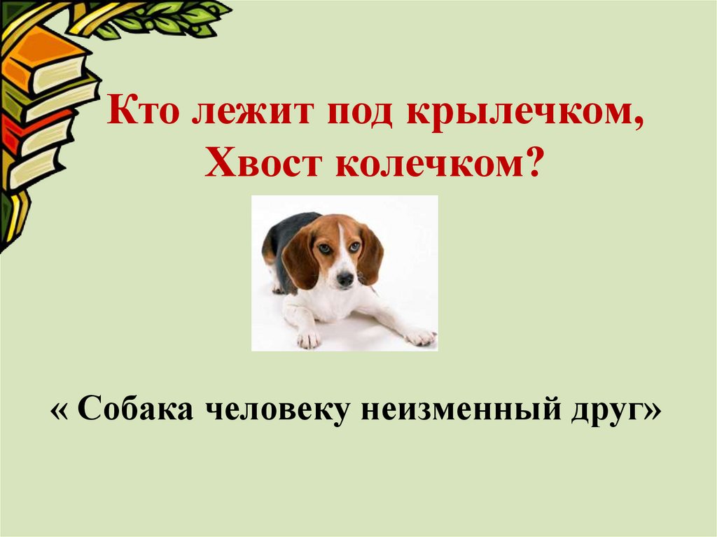 Собаки 1 класс литературное чтение презентация. Мой щенок литературное чтение 2 класс. Щенок 2 класс. Урок мой щенок Михалкова 2 класс. Мой щенок презентация 2 класс школа России презентация.