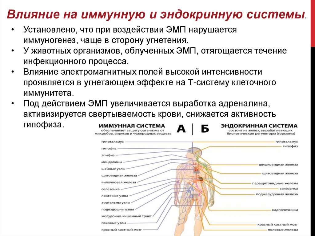 Процедура воздействия поля