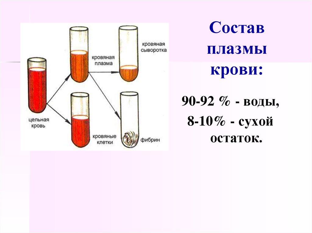 Химический состав сыворотки крови