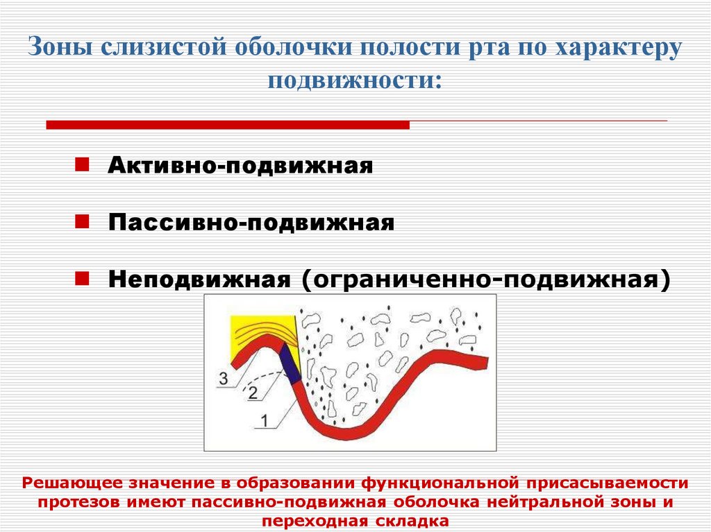 Подвижность характера