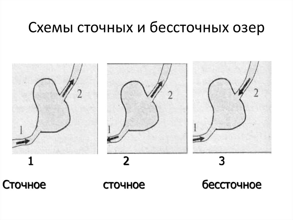 Как нарисовать сточное и бессточное озеро - 89 фото