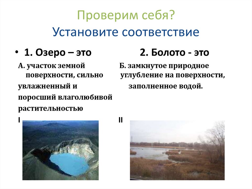 Сравните озеро и реку. Болота. Озера и болота презентация. Различия болота и озера. Разница между болотом и озером.