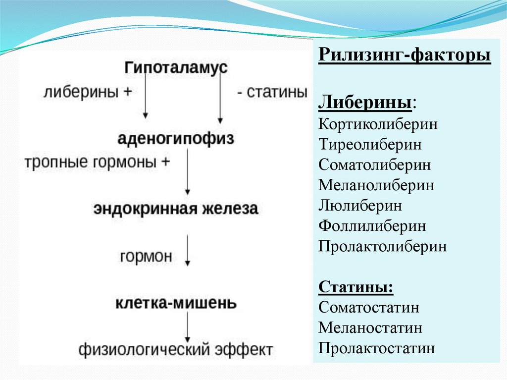 Классификация гормонов презентация