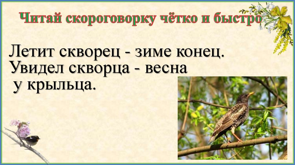 Читай скороговорку чётко и быстро