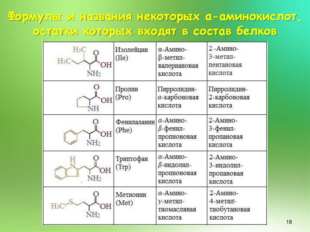 Какие функциональные группы аминокислот. Аминокислоты. Функции аминокислот. Аминокислоты и их функции. Аминокислоты в фруктах.