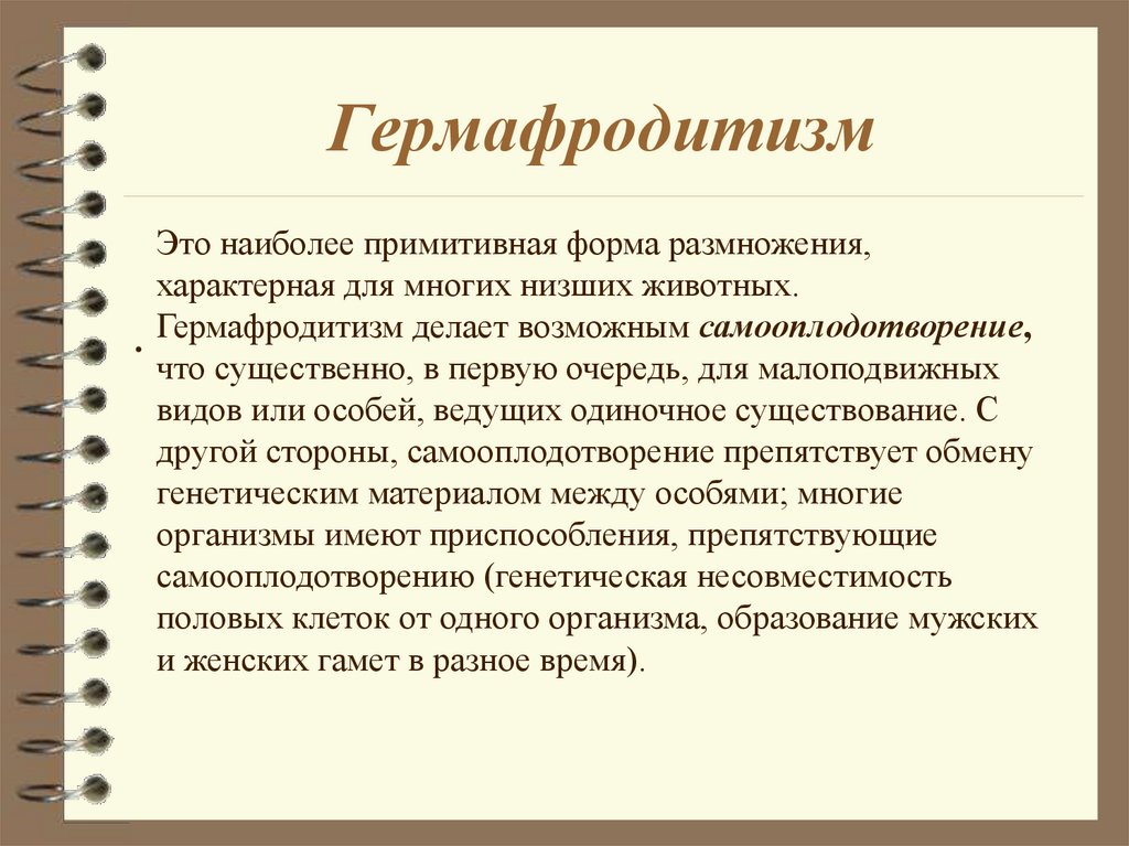 Почему гермафродитизм не получил широкого. Гермафродитизм характерен для. Истинный гермафродитизм у человека.