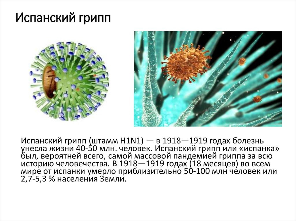 Испанка вирус фото