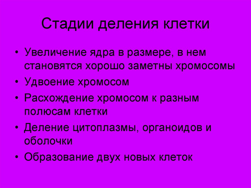 Увеличение клетки. Жизнедеятельность клетки ее деление и рост. Этапы жизнедеятельности клетки. Жизнедеятельность клеток ее деление и РОСТО. Жизнедеятельность клетки ее деление и рост 5 класс.