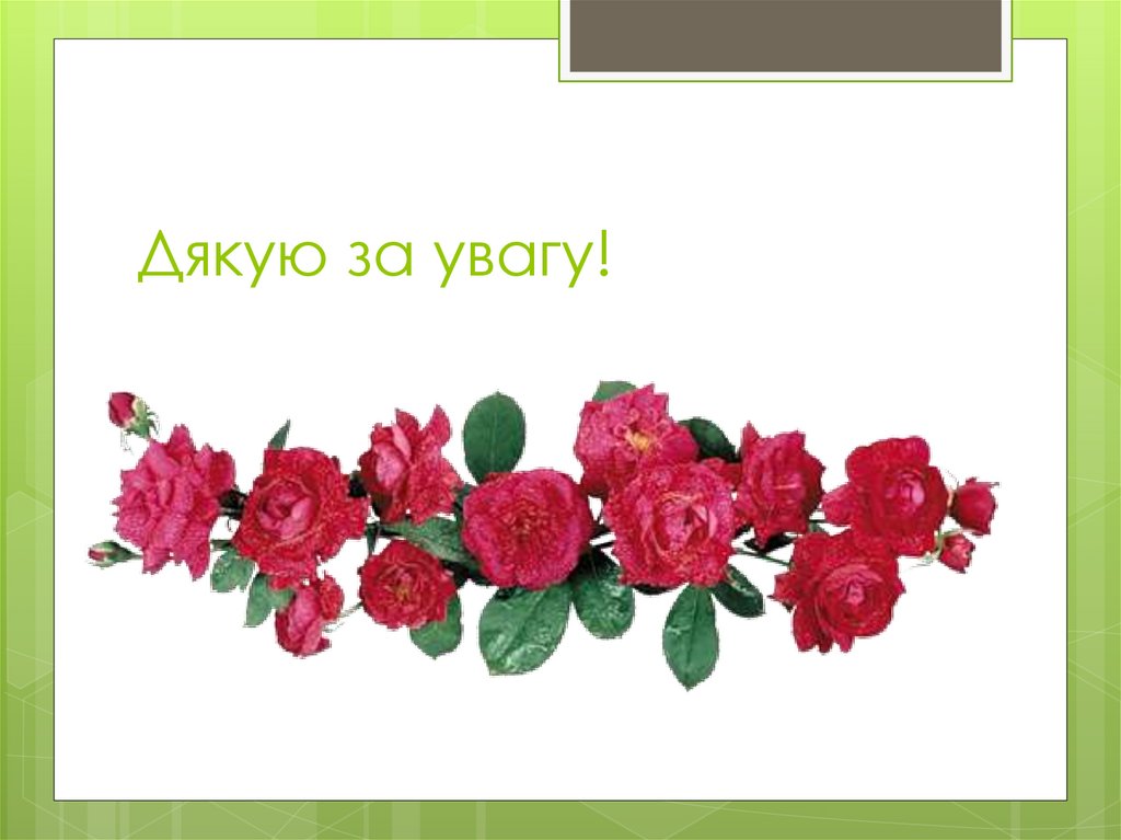 Дякую за увагу!