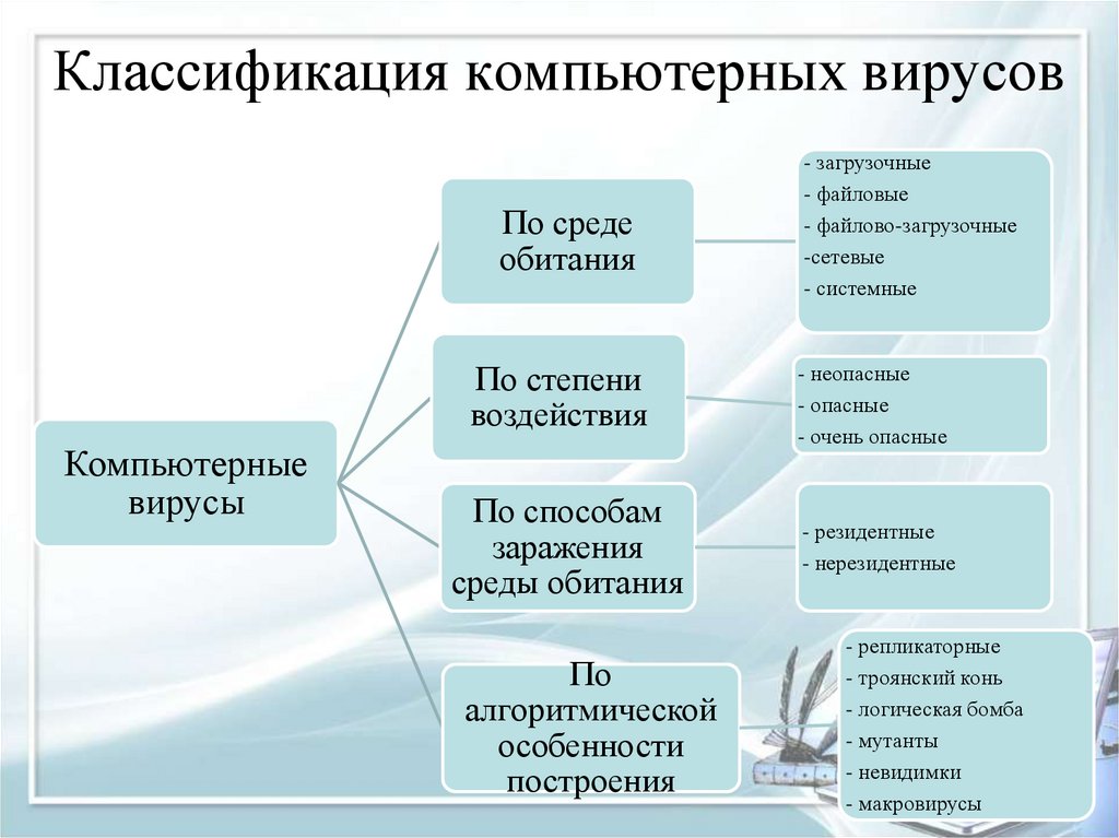 Классификация вирусов схема