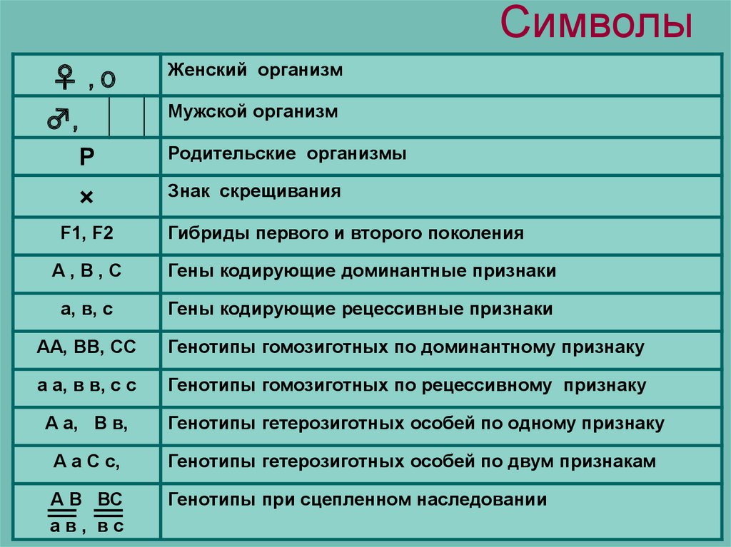 Что значит f5 в презентации