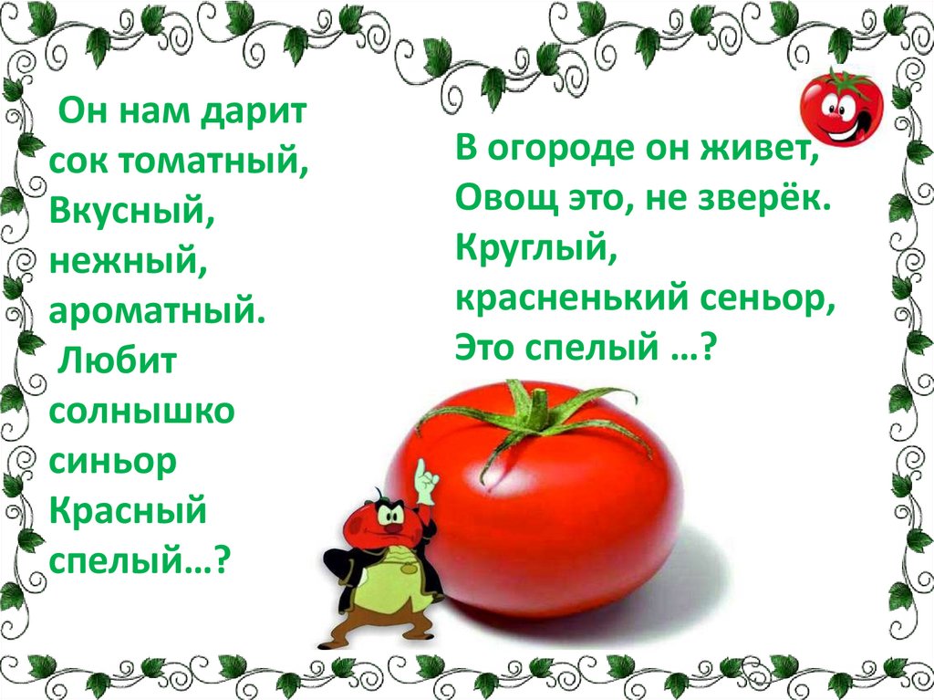 Задачи про помидоры. Презентация помидор для дошкольников. Томат для презентации. Помидор для презентации. Статус про помидоры.